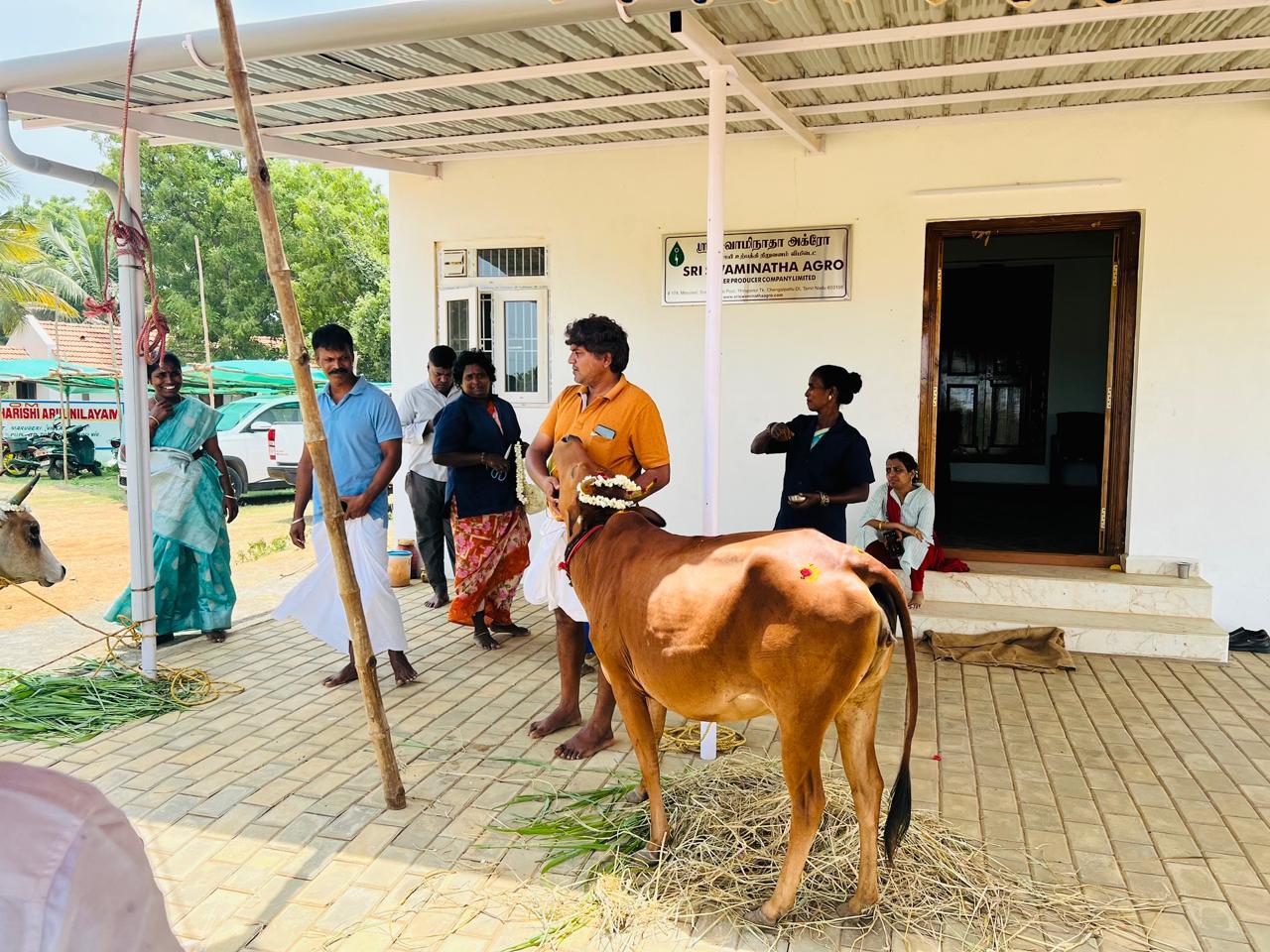 SHG & Kanchi Kuttai