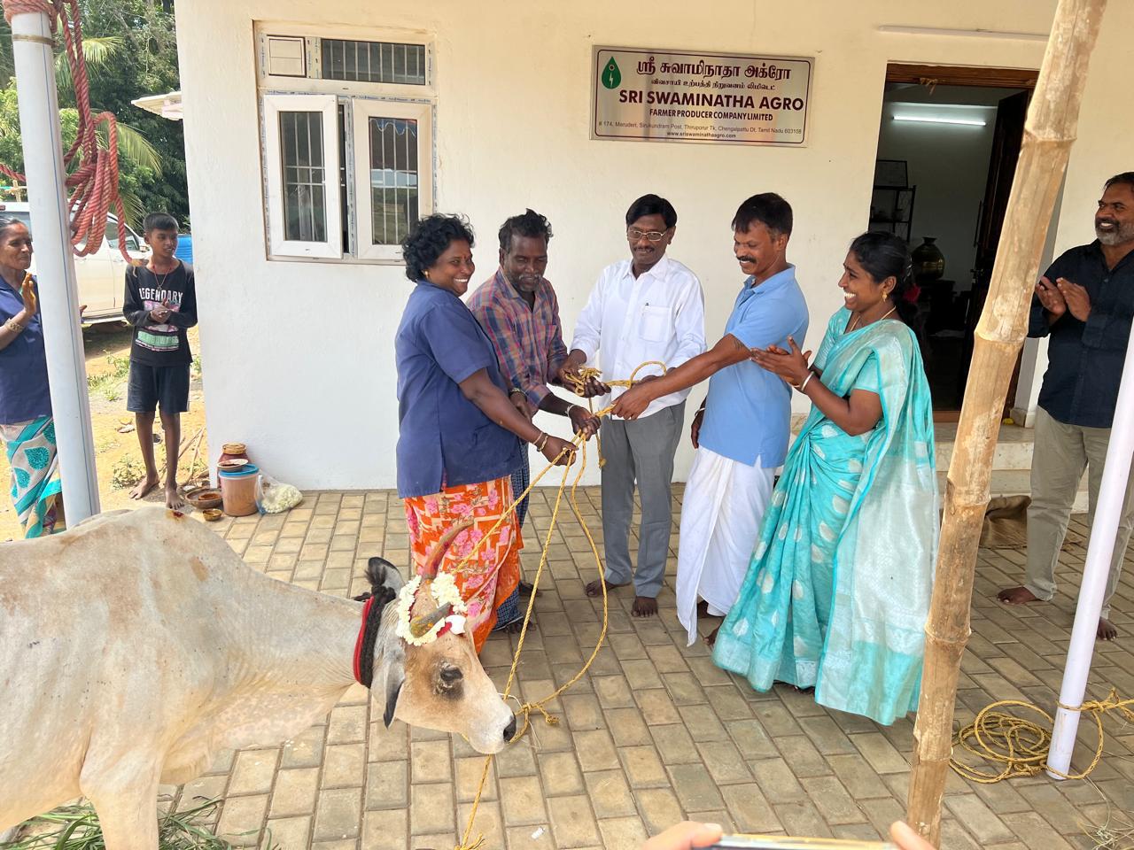 SHG & Kanchi Kuttai