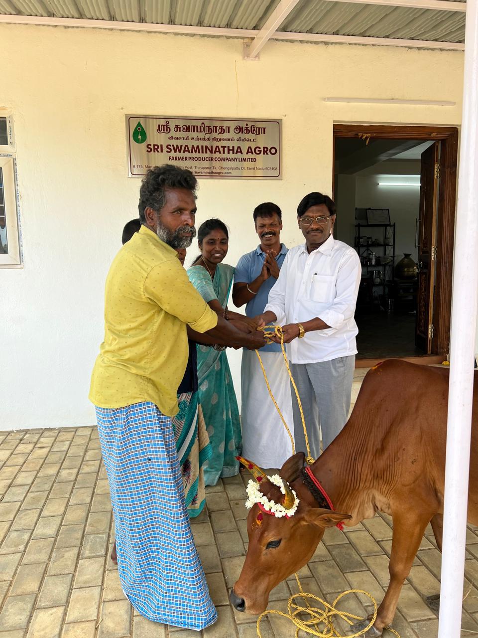 SHG & Kanchi Kuttai